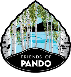 Visit Friends of Pando